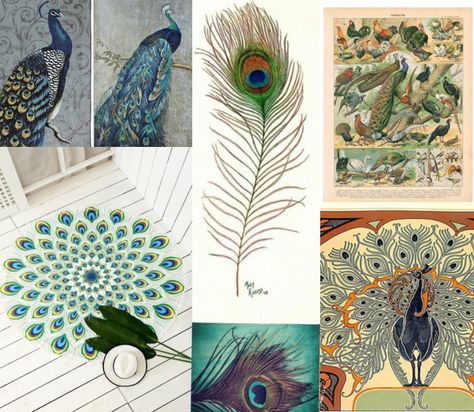 Peacock mood board Peacock Mood Board, Board Themes, Theme Board, Elephant Fashion, Peacock Pictures, Feather Fashion, Fashion Designing, Organic Forms, Fashion Mood Board