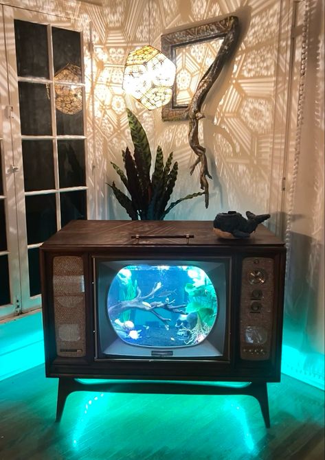 Tv Fish Tank, Tv Aquarium, Cool Fish Tanks, Aquascape Aquarium, Cool Fish, Vintage Tv, First Home, 3d Design, Fish Tank