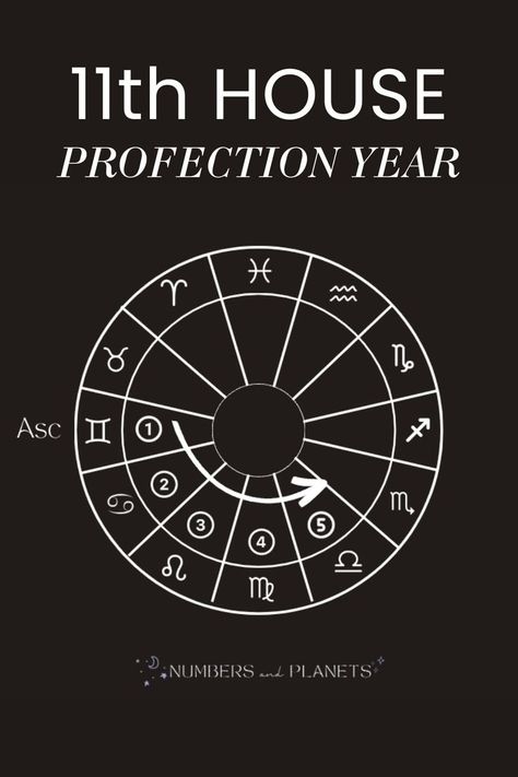 Annual profections are an ancient astrological technique based on the whole sign house system that reveals the theme of your year based on your natal chart. Want to know how to navigate your 11th house profection year like a pro? Then you’ve got to check out our full blog post. Trust me, it’s a cosmic journey you won’t want to miss! 11th House Astrology, House Profection Year, Annual Profections, Natal Chart Astrology, Astrology Signs Compatibility, Astrology Houses, Astrology Tattoo, Astrology Remedy, Astrology Planets