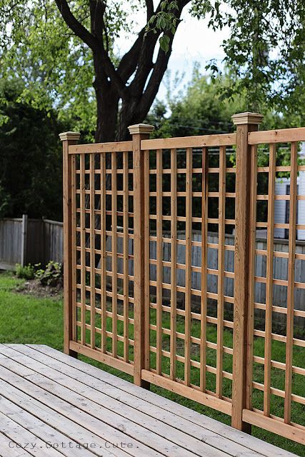 Cozy.Cottage.Cute.: A Trellis / Privacy Screen for the Deck Front Yard Privacy Trellis, Outdoor Trellis Wall Privacy Screens, Fence Trellis Ideas, Trellis Ideas For Privacy, Living Privacy Fences, Barn Foundation, Trellis Privacy Screen, Deck Trellis, Trellis Privacy