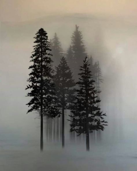 Foggy Mountain Tattoo, Watercolour Pine Trees, Tree Background Tattoo, Black Tree Drawing, Foggy Trees Painting, Silhouette Art Nature, Tree Silhouette Drawing, Pine Tree Tattoo Designs, Tree Tattoo Ideas For Men