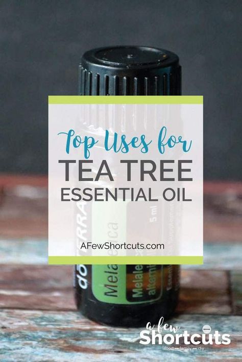 Do you love essential oils? Check out these top uses for Tea Tree Essential Oil. AKA Melaleuca. They are all amazing and super helpful! | @AFewShortcuts #tips #essentialoil Homemade Jar Candles, Tea Tree Oil Uses, Tea Tree Oil Face, Tea Tree Oil For Acne, Doterra Oils, Oil Benefits, Tea Tree Essential Oil, Oil Uses, Essential Oil Uses