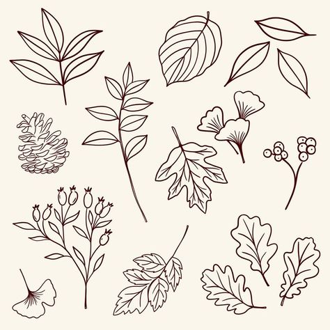 Embroidery Flowers Drawing, Autumn Foliage Illustration, Autumn Flowers Drawing, Leaf Line Drawing, Fall Leaves Drawing, Organic Drawing, Autumn Illustrations, Fall Drawings, Leaf Outline