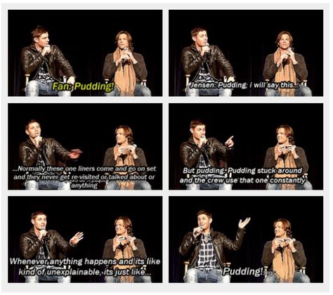 PUDDING. Spn Cast, Supernatural Convention, Jensen And Misha, Winchester Boys, Tv Supernatural, Jared And Jensen, Supernatural Funny, Winchester Brothers, Supernatural Cast