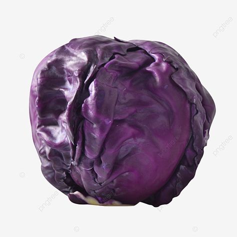 cabbage clipart,one,frontal perspective,purple,purple cabbage,vegetables,healthy,delicious,fresh,mature,vegetables clipart,healthy clipart,a clipart,one clipart,purple clipart Healthy Clipart, Purple Clipart, Purple Vegetables, Cabbage Vegetable, Purple Lightning, Purple Wreath, Purple Cabbage, Graphic Design Photoshop, Wreath Watercolor