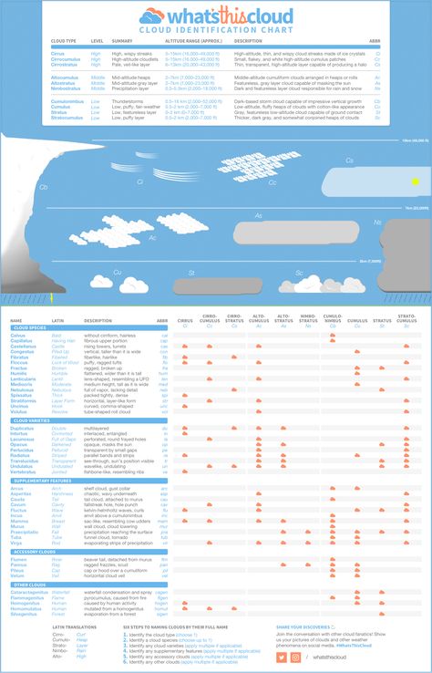 A cloud identification chart, poster, and printable worksheet guide to help with cloud identification Clouds Worksheet, Cloud Identification, Outdoor School Activities, Types Of Clouds, Cloud Type, 18x24 Poster, Multisyllabic Words, Chart Infographic, Information Visualization