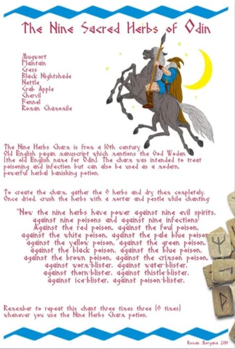 NINE HERBS CHARM - An ancient spell of protection using the nine sacred herbs of the Saxons. Combine the herbs and chant the rhyme, allow the power of Odin's herbs to banish and protect you by employing the Old Lore. Herbal Witchcraft, Full Moon Oil, Hoodoo Herbs, Herb Jars, Magick Oil, Norse Paganism, Drawing Down The Moon, Moon Oil, Protection Magic