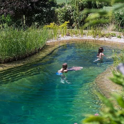 Above Ground Pool Steps, Big Swimming Pools, Swimming Pool Pond, Best Above Ground Pool, Living Pool, Pool Steps, Natural Swimming Ponds, Tank Pool, Stock Tank Pool