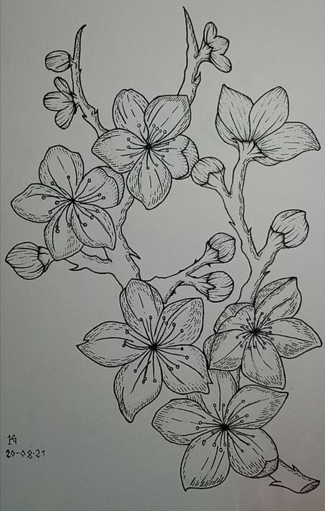 Japanese Flowers Drawing Cherry Blossoms, Cherry Blossom Tree Tattoos, Japanese Cherry Blossom Tree Drawing, Blossom Tree Sketch, Cherry Blossom Tree Sketch, Cherry Tree Drawing, Cherry Blossom Line Art, Cherry Blossom Tree Drawing, Cherry Blossom Outline