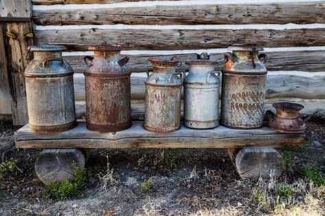 Rustic Lodge Decor, Antique Milk Can, Old Milk Cans, Vintage Milk Can, Country Barns, Shed Colours, Gas Cans, Mug Decorating, Lodge Decor