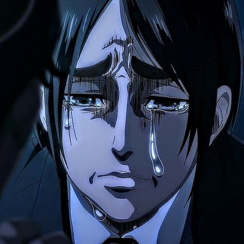 Eren Crying, The Attack Titan, Crying Gif, Future Pfp, Aot Funny, Attack Titan, Eren And Mikasa, Jojo Anime, Eren Yeager