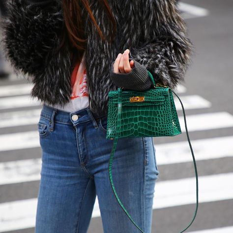 Hermès Boutique in ♡ of Tokyo on Instagram: “I stock again!!! 😍 Rare Alligator Mini Kelly II in gorgeous Vert Emerald with Gold hardware. 🐲 DM now for detailed photos~ . . . . .…” Green Kelly Bag, Mini Kelly Crocodile, Mini Kelly Hermes, Alligator Purse, Hermes Kelly 25, Alligator Handbags, Kelly Cut, Mini Kelly, Womens Designer Bags