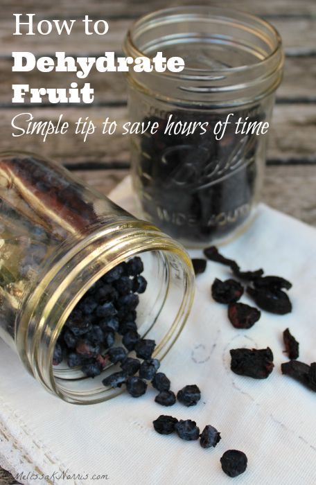 How to Dehydrate Fruit- Blueberries, Cherries, Grapes Dehydrating Blueberries, Melissa K Norris, Food Dehydration, Dehydrated Fruit, Berry Juice, Blueberry Jam, Summer Berries, Dehydrated Food, Food Saver