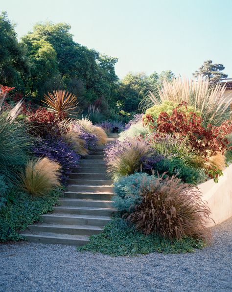 California Landscaping, Hillside Garden, European Garden, Hillside Landscaping, California Garden, Dry Garden, Grasses Landscaping, Sloped Garden, Shade Garden