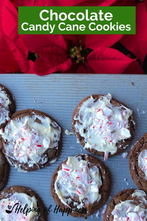 These rich chocolate cookies topped with white chocolate and crushed candy canes are the perfect Christmas party cookie. They are festive, colorful and delicious! They are chewy with a crunch. Chocolate and mint are one of my favorite flavor combos- especially during the holidays. The dough is easy to make ahead to you can roll them out and bake them whenever fits your schedule. If you love these, check out our Andes Mint Brookies- they’re amazing!!!! Chocolate Candy Cane Cookies, Crunch Chocolate, Flavor Combos, Christmas Cookie Party, Andes Mint, Holiday Sweets, Candy Cane Cookies, Pumpkin Chocolate Chip Cookies, Best Christmas Cookies