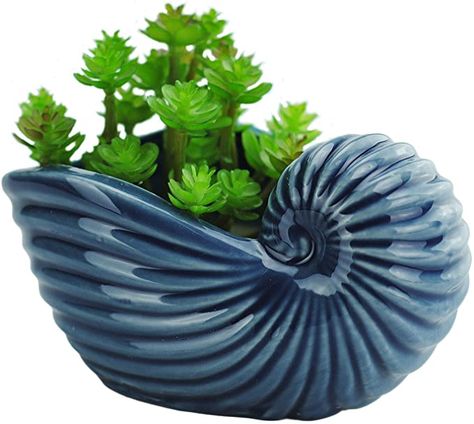 VanEnjoy 5" Ceramic Succulent Pot, Cute Ocean Blue Seashell Series, Cactus Pot Planter, Flower Pot, Pottery Bonsai Pot, Natural Finish, with Drainage Hole (Seashell E): Amazon.co.uk: Garden & Outdoors Flower Pot Pottery, Ceramic Pinch Pots, Blue Seashell, Ceramic Succulent Pots, Succulent Display, Cactus Plant Pots, Soap Container, Shell Planter, Pottery Pots