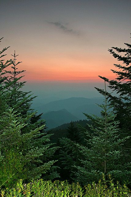 Beautiful Nc Mountains, Blue Ridge Parkway, Smoky Mountain National Park, Framed Photographs, Blue Ridge Mountains, The Frame, Yoga Retreat, Alam Yang Indah, Pine Trees