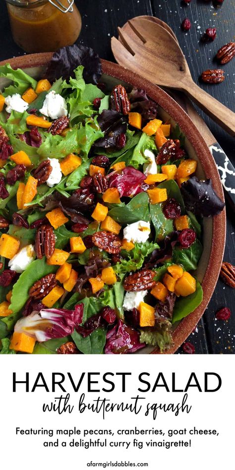 Half Baked Harvest Butternut Squash, Fig Vinaigrette, Salad With Butternut Squash, Thanksgiving Salad Recipes, Salad Appetizer Cups, Fall Eats, Thanksgiving Salad, Baked Butternut Squash, Butternut Squash Salad