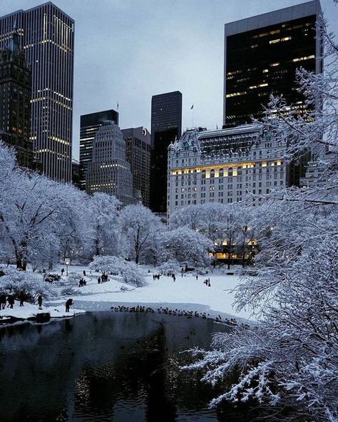 New York on Instagram: "Winter scenery in Central Park 📸 @edwinmurillorealtor ➖ Hashtags: #newyork #newyorkcity #newyorker #newyorklife #newyork_instagram #newyork_ig #newyorkarea #newyorkcitylife #newyorkcityphotography #newyorkstateofmind #centralpark #centralparknyc #centralparkmoments #nyc #nw #ny #empirestateofmind #visitnyc #winternyc" New York Winter, Nyc Christmas, Beautiful Snow, Central Park Nyc, Nyc Life, New York Life, Pretty Landscapes, Winter Scenery, Winter Pictures