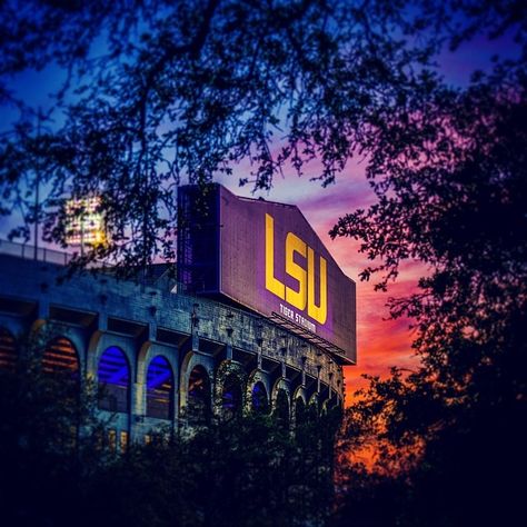 Tiger Stadium at night Lsu Wallpaper Backgrounds, Lsu College Aesthetic, Lsu Tigers Aesthetic, Lsu University, Lsu College, Lsu Girls Basketball, College Goals, Lsu Tiger Stadium, Louisiana Bayou