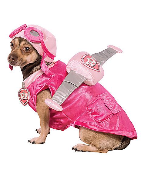 Rocky paw patrol costume