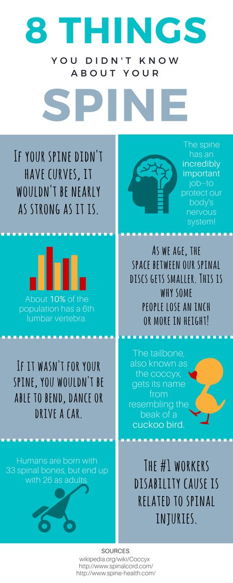 8 Things You Didn't Know about Your Spine. WellnessQuestChiropractic.com King of Prussia, PA 610-640-9355 #TopDoc in #KoP Osteopathy Quotes, Chiropractic Infographic, Spine Quotes, Chiropractic Benefits, Chiropractic Art, Facts Infographic, Chiropractic Quotes, Chiropractic Marketing, Spinal Health