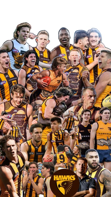 Afl Hawthorn, Hawthorn Football Club, Hawthorn Hawks, Best Club, Tasmania, Hawks, Football Club, Football, Wallpapers