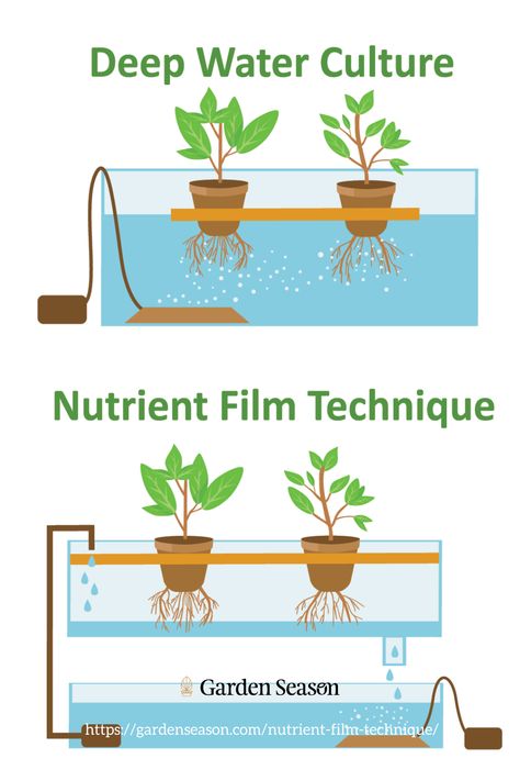 Deep Water Culture | Nutrient Film Technique | Aeroponics | Drip System Deep Water Culture, Film Technique, Drip System, Hydroponics System, Hydroponic Gardening, Deep Water, Urban Farming, Science Fair, Gardening For Beginners