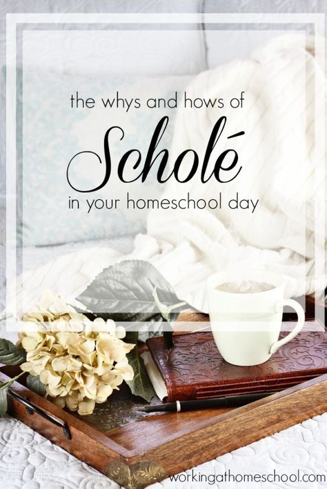 The whys and hows of Schole in your classical homeschool day. Classical Education Homeschool, Teaching From Rest, 2 Monkeys, Mother Culture, Wedding Dress With Straps, Classical Homeschool, Relaxed Homeschooling, Charlotte Mason Homeschool, Past Simple