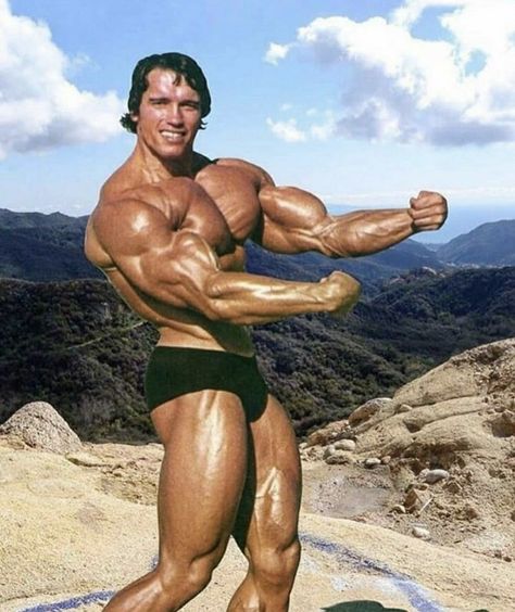 Arnold Bodybuilding, Bodybuilding Posters, Arnold Schwarzenegger Movies, Arnold Schwarzenegger Bodybuilding, Schwarzenegger Bodybuilding, Bodybuilding Pictures, Mr Olympia, Bodybuilding Fitness, Body Builder