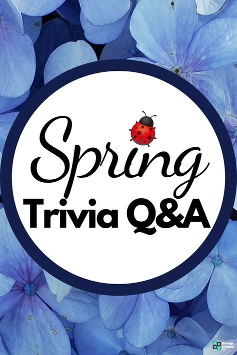 43 Spring Trivia Questions and Answers Flower Arrangements Tulips, Kids Group Games, Fun Trivia Questions And Answers, Spring Trivia, Group Games For Adults, Outdoor Games For Preschoolers, Kids Thanksgiving Party, Trivia For Seniors, Games To Play Outside