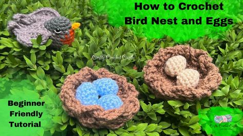 Free Pattern Tutorial Crochet Robin, Bird Crochet, Crochet Bird, Egg Nest, Baby Bears, Crochet Chicken, Crochet Birds, Crochet Baskets, Bird Eggs