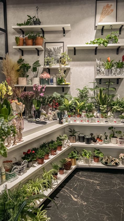 Healthy Cafe Interior, Florist Shop Interior Inspiration, Plant Shop Aesthetic, Garden Center Displays, Flower Shop Interiors, Plant Diy, Flower Shop Decor, Flower Cafe, Flower Shop Design