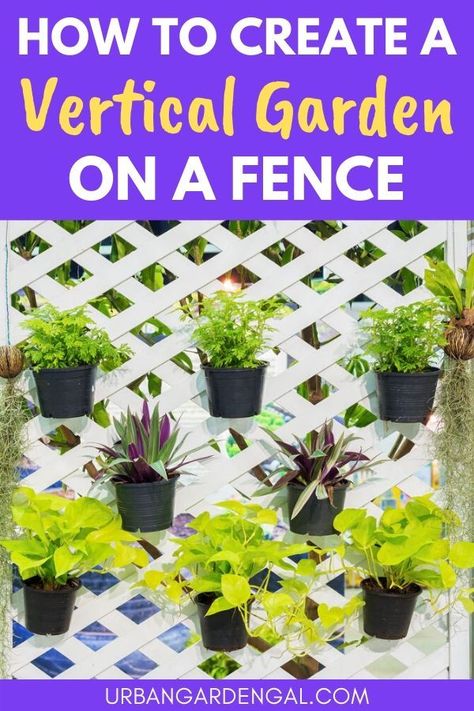 Hanging Plants On Fence, Fence Garden Ideas, Fence Gardens, Garden Fencing Ideas, Fence Makeover, Vertical Fence, Garden Fence Ideas, Fence Planters, Fence Designs