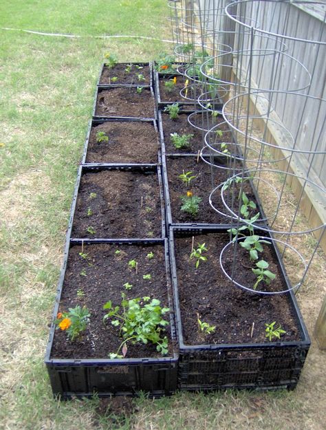 My Free Square Foot Garden Long Planter, Building A Raised Garden, Plastic Crates, Diy Raised Garden, Backyard Vegetable Gardens, Raised Garden Beds Diy, Square Foot Gardening, Vegetable Garden Design, Garden Boxes