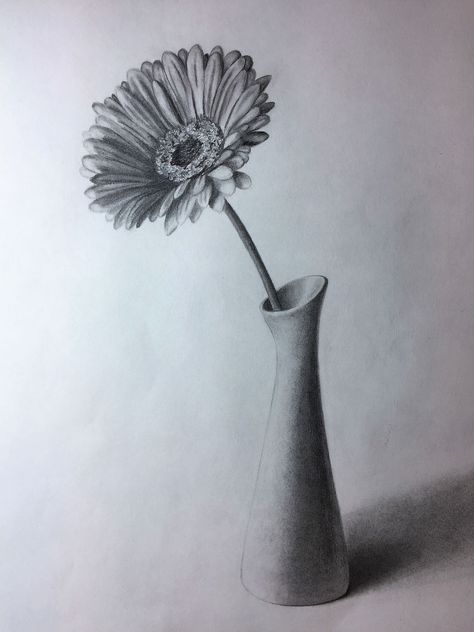 Flower Sketch Pencil, Flower Vase Drawing, Vase Drawing, Easy Pencil Drawings, Pencil Vase, Still Life Sketch, Pencil Drawings Of Flowers, Life Sketch, Pencil Sketch Drawing