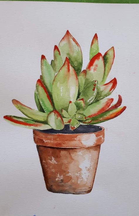 Watercolor Art Succulents, Watercolor Plant Art, Potted Plant Watercolor, Watercolor Succulents Easy, Watercolor House Plants, Simple Succulent Painting, Cactus Plants Drawing, Watercolor Art Plants, Basic Watercolor Painting