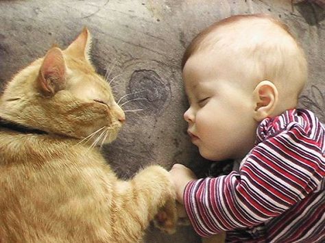 Kid With A Cat | Bored Panda Image Chat, Orange Cat, 인물 사진, 귀여운 동물, Baby Sleep, Animals Friends, Crazy Cats, Cat Pics, Cat Love