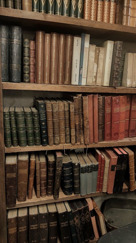 Antiquaire bookshelf Old Books Aesthetic, Old Bookshelf, Old Bookshelves, Bookshelf Aesthetic, Dark Decor, Creepy Houses, Set Dressing, Paper Pulp, Vintage Library