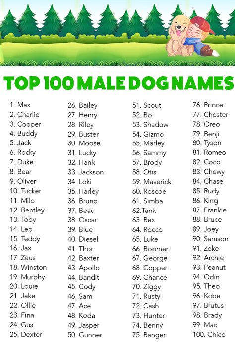 Super gut Top 100 Female Dog Names, Girl Dogs Name, Cute Pet Names Animals, Names For Girl Dogs, Cat Names Girl, Dog Names Girl, Puppies Names Female, Piscina Container, Top Dog Names