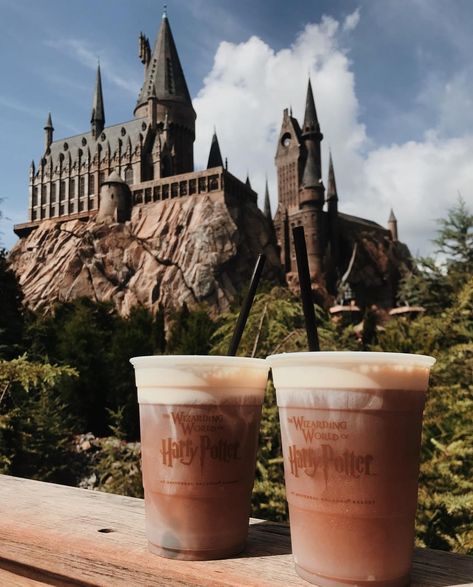 Harry Potter Orlando, Butter Beer, Hogwarts Acceptance Letter, Short Break Travel, Artsy Pictures, Universal Studios Orlando, Wizarding World Of Harry Potter, Dunkin Donuts Coffee Cup, Harry Potter World