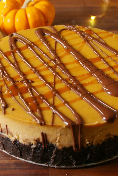 Chocolate Pumpkin Cheesecake Pumpkin Cheesecake Oreo Crust, Pumpkin Cheesecake Caramel, Chocolate Chip Pumpkin Cheesecake, Pumpkin Cheesecake Chocolate Crust, Pumpkin Cheesecake With Chocolate Crust, Pumpkin Chocolate Chip Cheesecake, Pumpkin Cheesecake With Oreo Crust, Cheesecake Recipes Oreo Crust, Carmel Pumpkin Cheesecake