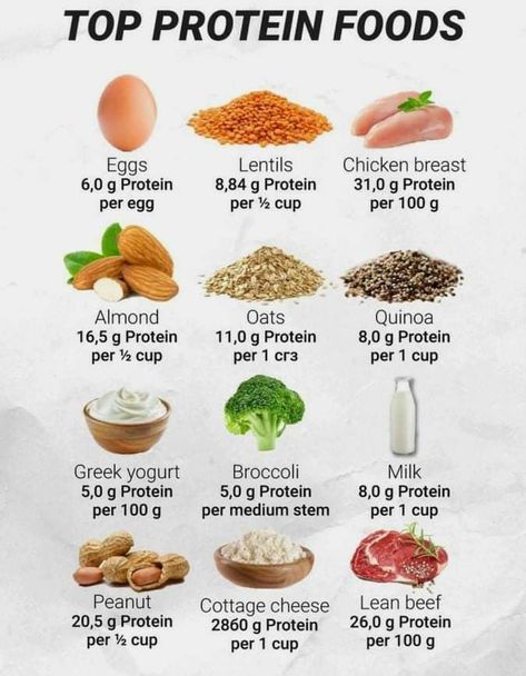 Top Protein Foods, Protein Foods List, Healthy Weight Gain Foods, Protein Meal Plan, Protein Food, Healthy High Protein Meals, Protein Rich Foods, Protein Diets, Bariatric Recipes