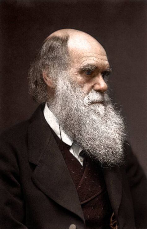 Colorized History, Colorized Historical Photos, Origin Of Species, Famous Scientist, Long Beard, Theory Of Evolution, Colorized Photos, Natural Selection, Charles Darwin