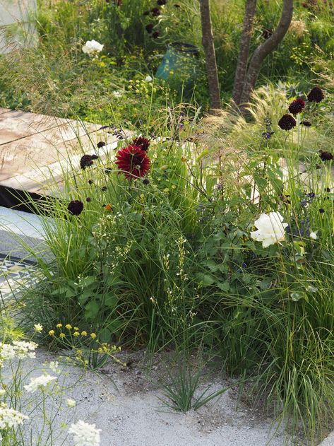 Contact | Ula Maria Garden Design | England Sustainable Garden Design, Garden Design London, Prairie Garden, London Garden, Future Garden, Planting Design, Grasses Garden, Garden Designer, Garden Inspo