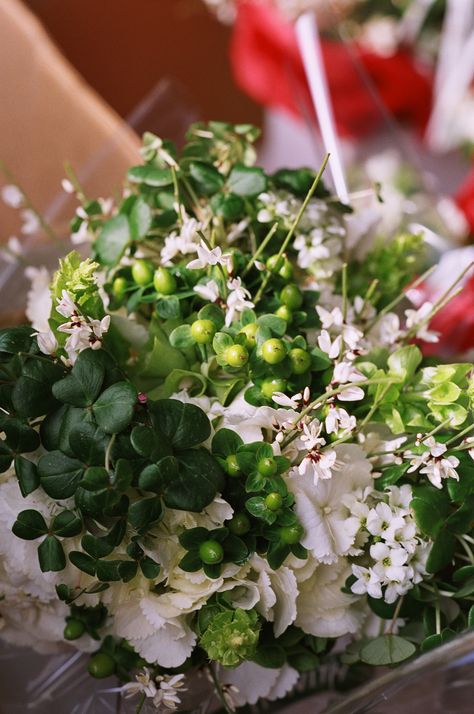 Bride's Bouquet - White Ginestra, Shamrocks, Green Hypericum Berries, White Hydrangea Shamrock Centerpiece, Shamrock Bouquet, Irish Wedding Inspiration, Shamrock Wedding, Bride Bouquets White, Irish Wedding Traditions, White Flower Bouquet, Green Weddings, Hypericum Berries