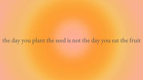 aura, new year, new start, patience, The Day You Plant The Seed Quote, Plant The Seed Quote, Aura Quote, Seed Quotes, Aura Quotes, The Fruit, Planting Seeds, Positive Energy, Cool Words