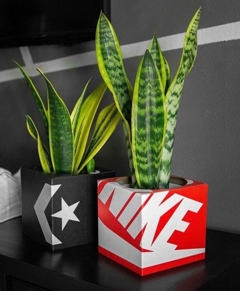 Upcycled planter covers using @nike & @converse shoe boxes Sporty Decor, Sport Room Decor, Sneakerhead Room, Planter Cover, Hypebeast Room, Tapeta Pro Iphone, Apartment Decor Inspiration, Room Makeover Inspiration, Room Setup