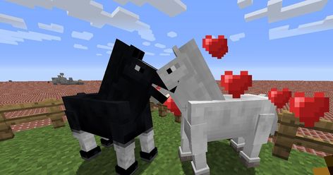 How to Breed Horses in Minecraft  How to breed horses in Minecraft  While plenty of horses are likely roaming around in yourMinecraftworld you may want to get into breeding horses wherever youve set up your home. Its always smart to have a back-up horse at home in case danger befalls your go-to steed or you might be roleplaying and looking to start a genuine horse ranch. Breeding your own custom horse inMinecraftis fairly simple but you do need a few specific items and we have a few tips as well How To Breed Horses In Minecraft, Donkey Breeding, Savanna Biome, Minecraft Horse, Tame Animals, Faster Horses, Sims 4 Challenges, Two Horses, Custom Horse