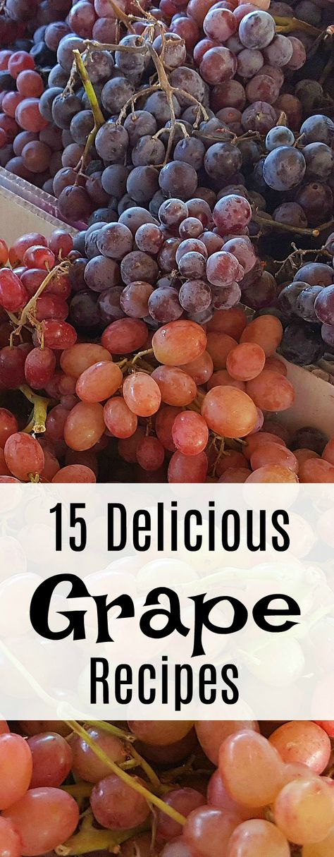 15 Delicious Recipes with Grapes - Food Blogger Recipe Round Up Grapes Dessert Recipes, Recipes With Grapes Healthy, Red Seedless Grapes Recipes, What To Do With Grapes Recipes, Recipes For Grapes With Seeds, What To Do With Soft Grapes, Grapes Recipes Dessert, Leftover Grapes Recipe, Red Grape Recipes Ideas